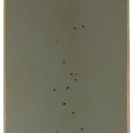 10 sprg brown maple green frost 10 sprg brown maple green frost