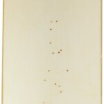 10 sprg brown maple parchment 10 sprg brown maple parchment